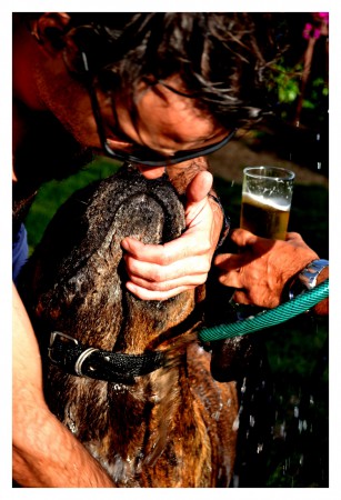 ladren lo que ladren los demas..