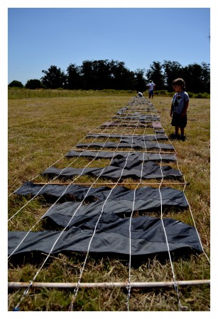 maldición...va a ser un dia hermoso!!